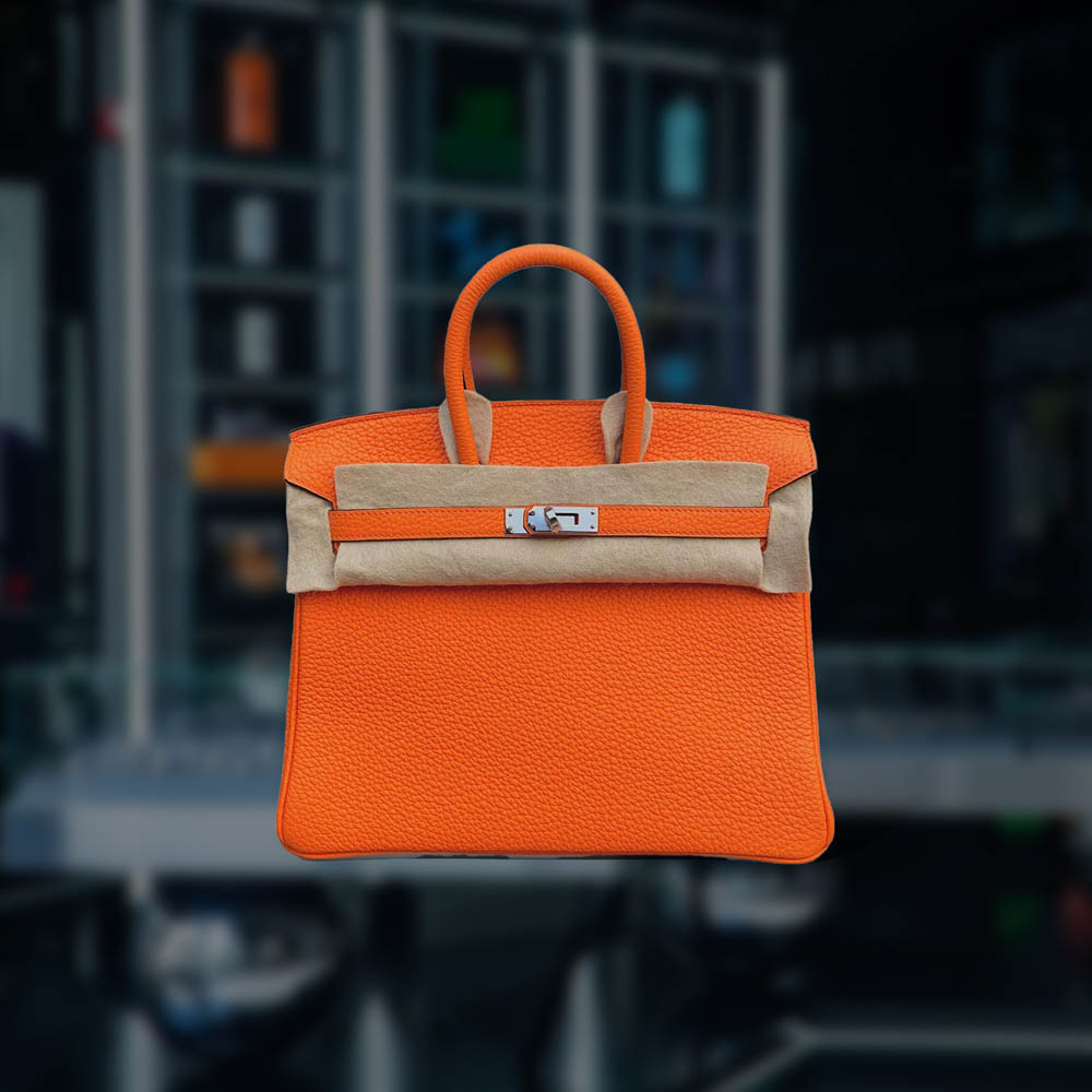 Hermes Birkin 25 Orange Togo Leather Palladium Hardware | The Watch Meister